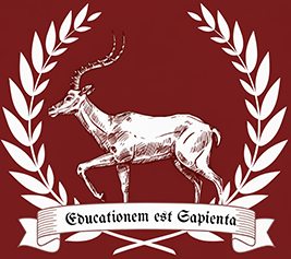 Gemini_Generated_Image_2ldun72ldun72ldu